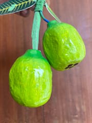 Wooden Guava