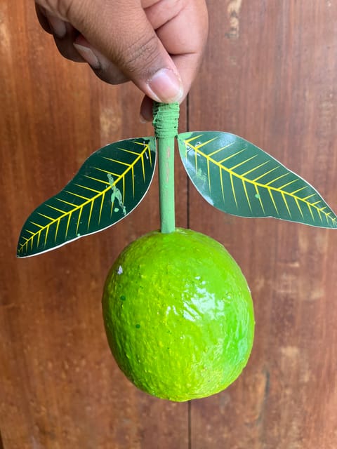 Wooden Guava