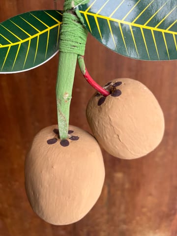 Wooden Sapota