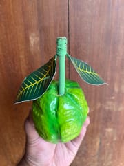 Wooden Guava